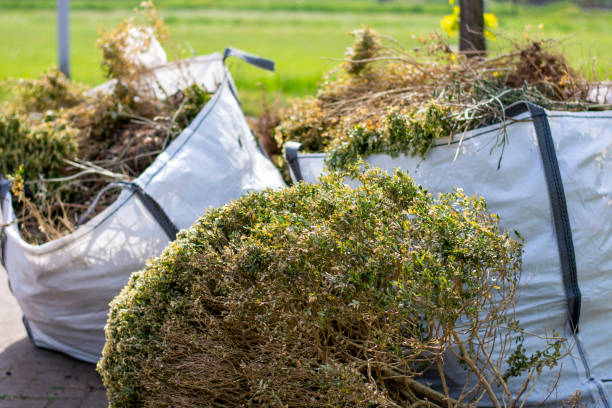 Full-Service Junk Removal in Lake Ridge, VA